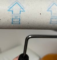 最近家にノミ が出ます 泣コロコロで取ったのですが 何という名前のノミなの Yahoo 知恵袋