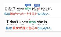 中学英語三年間接疑問文 Whoは 誰 にあたいするので必ず後 Yahoo 知恵袋