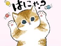 Lineスタンプにあるこの猫の名前は何ですか すごく可愛いくて気に入 Yahoo 知恵袋