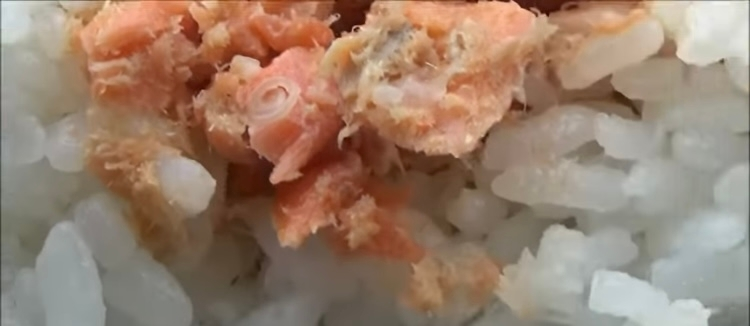 コンビニのおにぎりにアニサキスがいた らしいのですが これはあり Yahoo 知恵袋