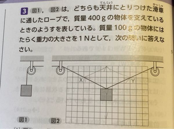 滑車150mmx1 2台セット Newageagric Com
