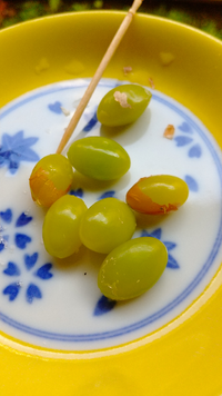 ぎんなんの殻の剥く方法で茶封筒に入れ電子レンジでチンという方 Yahoo 知恵袋