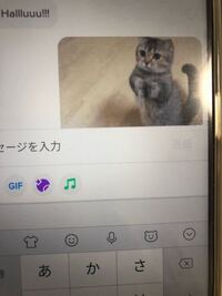 これはhelloって意味ですか 頂戴頂戴 Yahoo 知恵袋