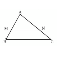 三角形の比の性質より 中点連結定理を導くことができる これについ Yahoo 知恵袋