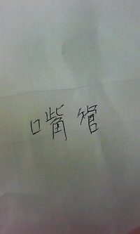 この字 何て読みますか 嘴管 しかん と読みます Http W Yahoo 知恵袋