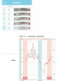 前回の排卵期辺りから基礎体温をつけ始めました 排卵検査薬は Yahoo 知恵袋