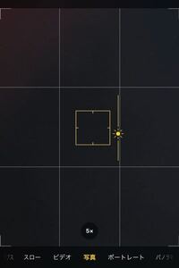 Iphoneのカメラのこれって何ですか 露出補正 Iso感度 Yahoo 知恵袋
