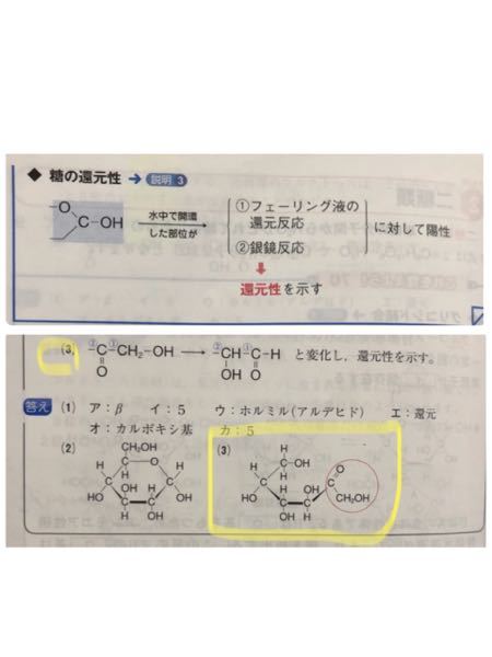 還元性を示す部分 上の写真と左の写真で違うくないですか また 下 Yahoo 知恵袋