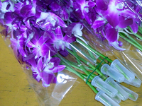 デンファレの切り花を購入したら 試験管の様なものが付いてきました Yahoo 知恵袋