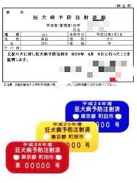 犬の狂犬病接種についてです 犬の登録をしていなくても打てますか 現在 Yahoo 知恵袋