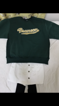 このコーデ変ですか 高校生です 緑トレーナー 白スカート 黒タイ Yahoo 知恵袋