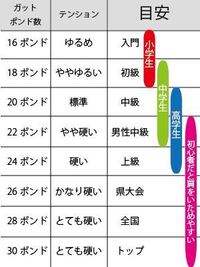 バドミントンのガットについて 自分は県大会出場経験もないですし上 Yahoo 知恵袋