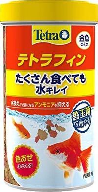 金魚を15匹同じ水槽にて飼っています こちらの餌は一日に何回あげれば良いで Yahoo 知恵袋