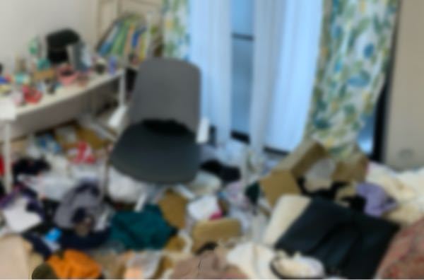 画像閲覧注意 どう頑張っても汚部屋になります 大学生の女で Yahoo 知恵袋