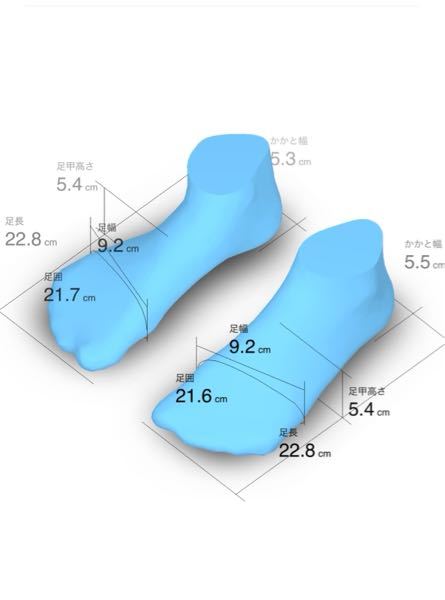 靴のサイズで23.5cmと23cmで迷っています。 - 普段はだいたい23