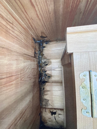 ガーデニングや観葉植物の 植木鉢について相談です どーしても Yahoo 知恵袋