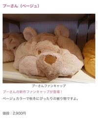 レア？！☆ ディズニーファンキャップ プーさんベージュ