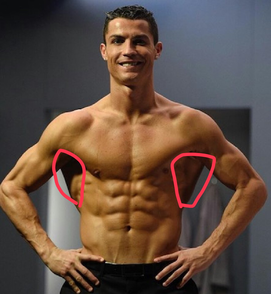 ロナウドのようなこの腹斜筋 の鍛え方を教えてください 広背 Yahoo 知恵袋