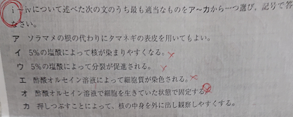 中学の理科です 答えはオでした 酢酸オルセインと酢酸カーミンは核に色をつけ Yahoo 知恵袋