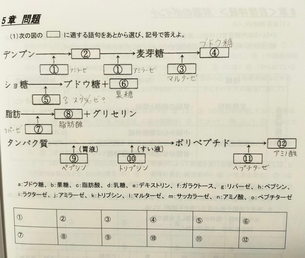 生物のテキストが解けなくて困っています 下に選択肢があります と が分か Yahoo 知恵袋