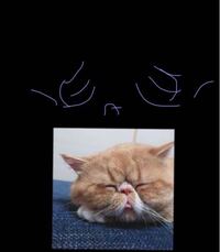 顔文字を探してます 悲しいや泣くつらい疲れたなどで調べても Yahoo 知恵袋