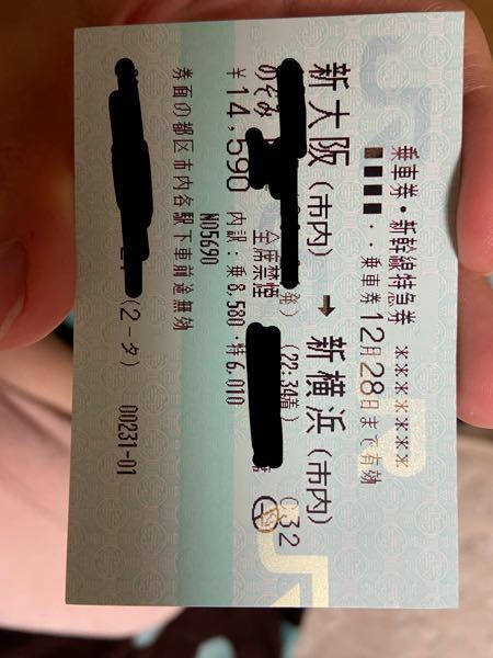 新幹線のチケットを買ったところ1枚しか出てきませんでした。新幹線 
