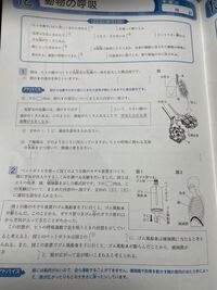 中2 理科の 夏の生活 のこの問題の答えを教えて下さい Yahoo 知恵袋