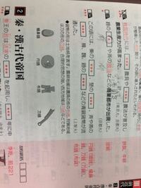 戦国の七雄の覚え方を教えてください 位置と名称が覚えられません Yahoo 知恵袋