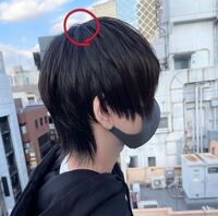 女子中学生でショートウフルはダサいですか 自分自身癖毛なんで Yahoo 知恵袋