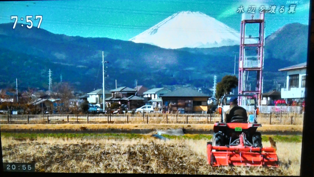 １）この背景に映っている山は富士山で間違いないでしょうか? ２）具体的な撮影場所がわかる方がいらっしゃったら教えてください。 （右手に映っている消防署らしき建物が手がかりになると思うのですが、私の能力ではマップアプリで特定出来ませんでした） よろしくお願い致します。