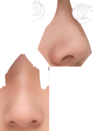 顔評価至急回答お願いしたいです この鼻はどの部類に入るのでしょう Yahoo 知恵袋