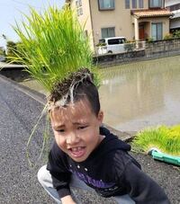 大喜利 Sdgsって何の略 例 S 酒がd 大好きなg Yahoo 知恵袋