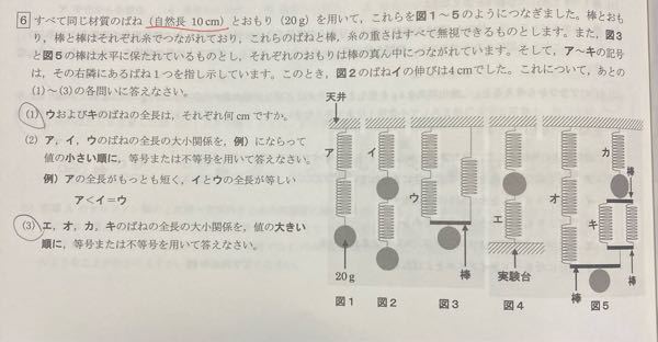 令和2年度仁川学院高校入試問題の理科なのですが、この大問全て解説をお願いしたいです。
