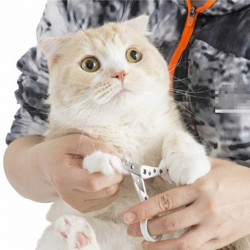 猫の爪切りをすると嫌がって手を引っ込めてしまうのですが 動物病院へ行く以外に何かいい方法があったら教えてください。