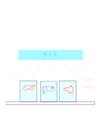 ベタを冬場ヒーター無しで買えるものなんですか 祖父の家にめっちゃ小さ Yahoo 知恵袋