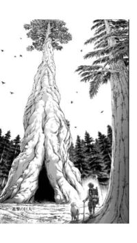 進撃の巨人 最後のこれどういうことなんですか ユミルが落っこ Yahoo 知恵袋