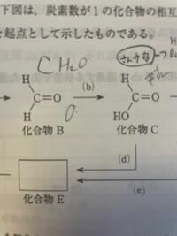 ホルミルCoAヒドロラーゼ