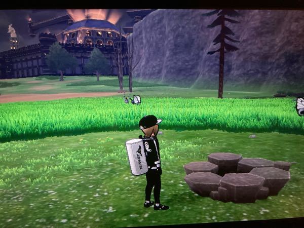 ポケモンソードにおいて 巨人の鏡池巣穴bでアーマーガアが出ました Yahoo 知恵袋