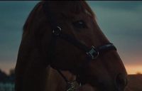 22年からweb限定で放送しているjraのcm ウマのそら は Yahoo 知恵袋