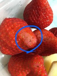 至急苺の薄いピンク の部分は食べても問題無いですか 全然問 Yahoo 知恵袋