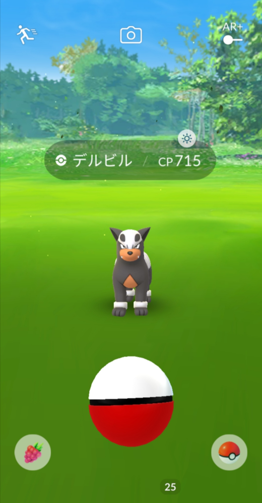 ポケモンgoのar機能について質問です昨日 一昨日辺りからarカ Yahoo 知恵袋