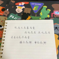 この中国語はどう言った意味ですか 桑田佳祐さんの 真夏の果実 歌詞の Yahoo 知恵袋