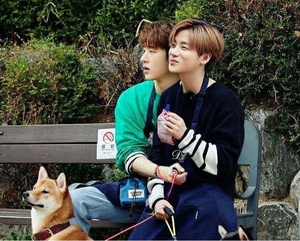 Ikonのジナン君がしてる髪型ってなんて言うんでしょうか この髪 Yahoo 知恵袋