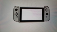 NintendoSwitch(ジョイコンなし) Switchのこの画面ってジョイコンなしで操作するのは無理です