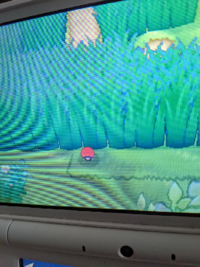 今すぐ回答くださいポケットモンスターxyのこの写真のアイテムを取るにはどう Yahoo 知恵袋