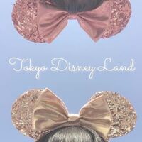 写真の撮り方について質問です 来月 彼氏とディズニーに Yahoo 知恵袋