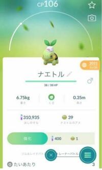 ポケモンgoについて 何故このナエトルは進化がないのでしょうか Yahoo 知恵袋