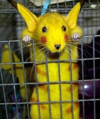 中国や韓国発の ピカチュウやマリオのような世界的に有名なキャラクタ Yahoo 知恵袋