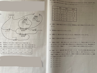 問2 8まで教えてください 見にくくてすいませんm M中2理科電気の Yahoo 知恵袋