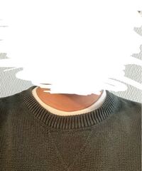 この服を着た時 下に着たシャツの首元が少し見えてしまうのですがダ Yahoo 知恵袋